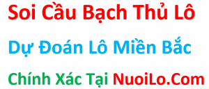 soi cầu lô bạch thủ miền bắc