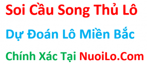 soi cau lo song thu