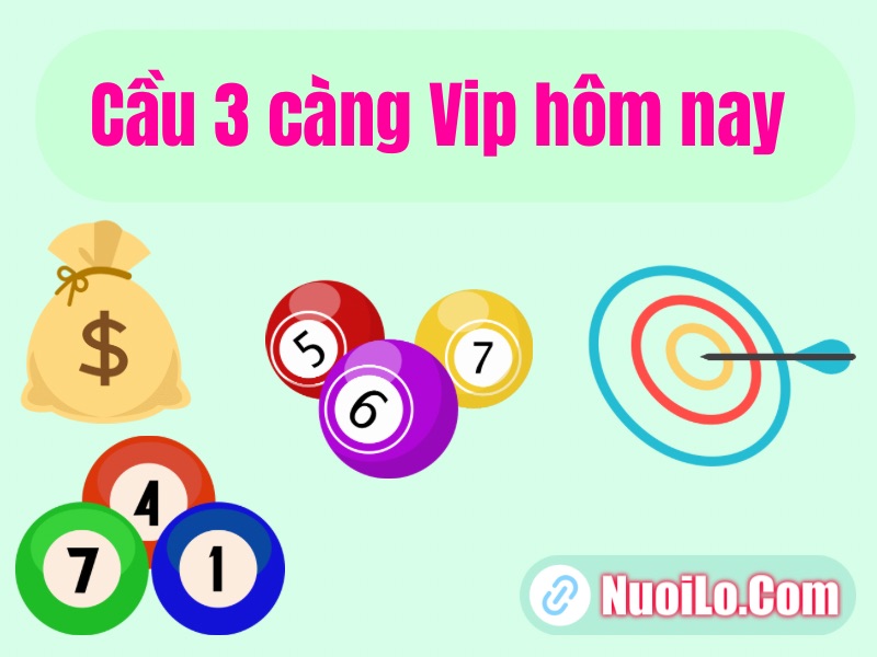Cầu 3 càng VIP hôm nay