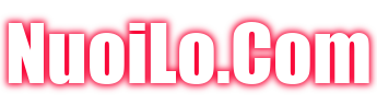 nuoilo.com