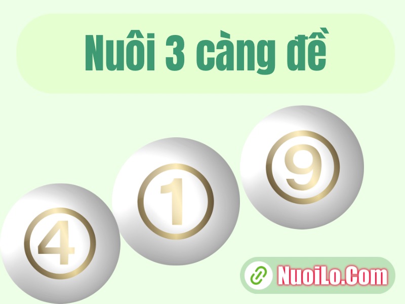 Nuôi 3 càng đề khung 7 ngày