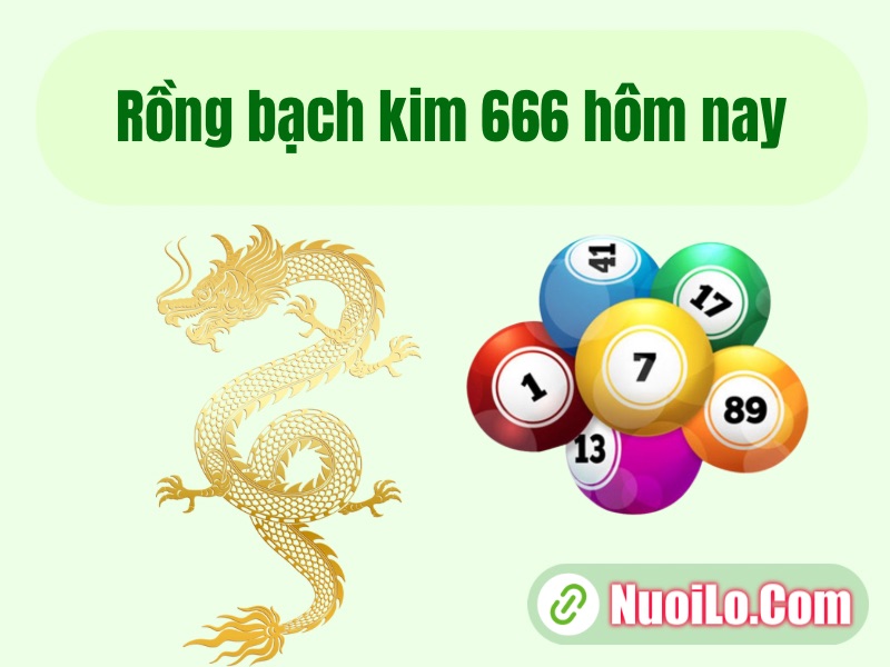 Rồng bạch kim 666 hôm nay