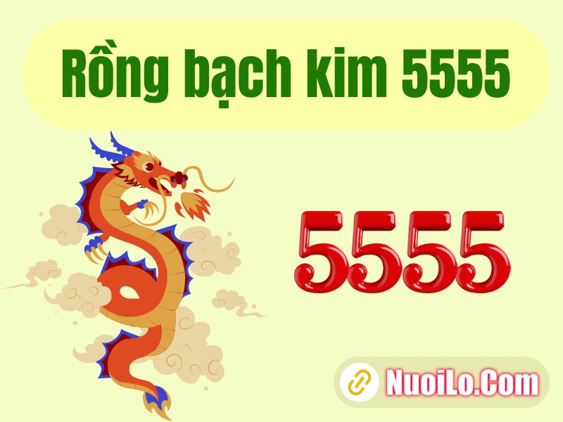 Rồng bạch kim 5555