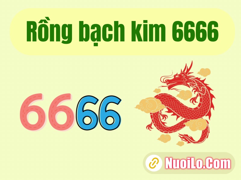 Rồng bạch kim 6666