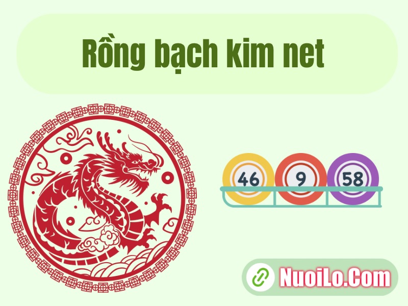 Rồng bạch kim net