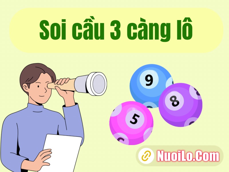 Soi cầu 3 càng lô