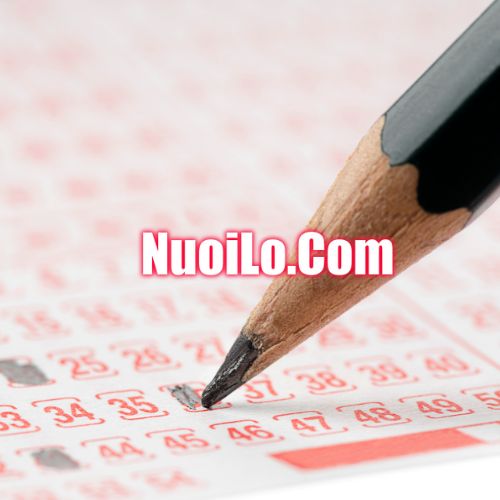 Khám Phá Bạch Thủ Lô Khung 2 Ngày Miễn Phí - Bí Quyết Chơi An Toàn Hiệu Quả